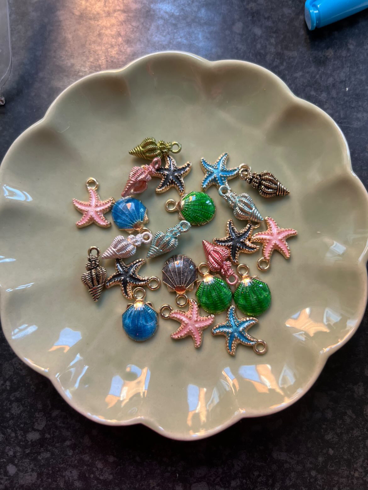 Shells and Starfish