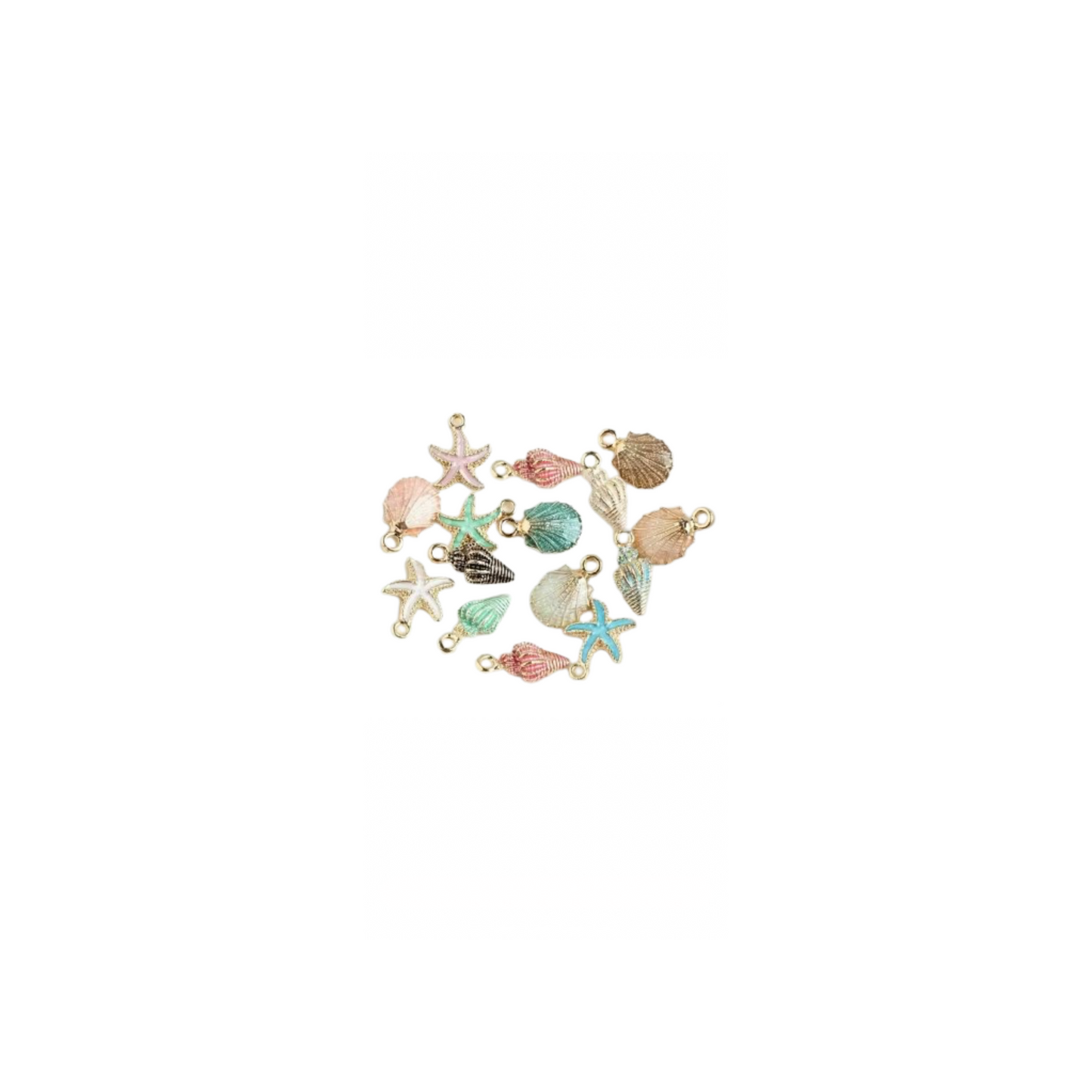 Shells and Starfish