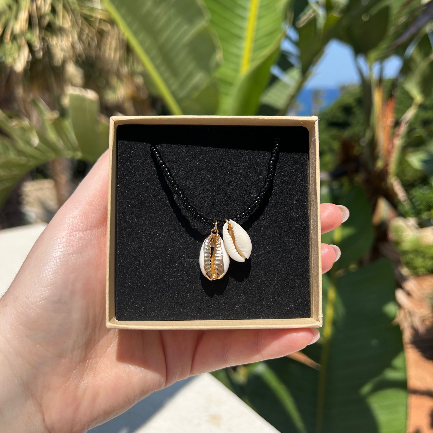 Shell with gold detail