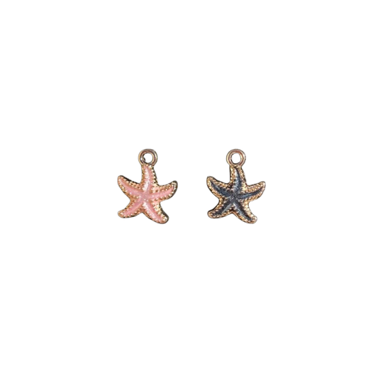 Shells & starfish