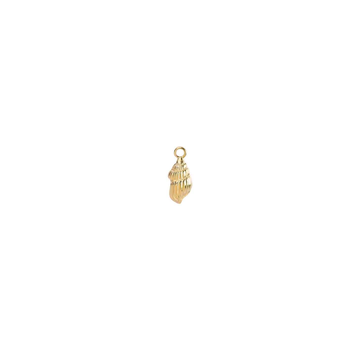 Shell