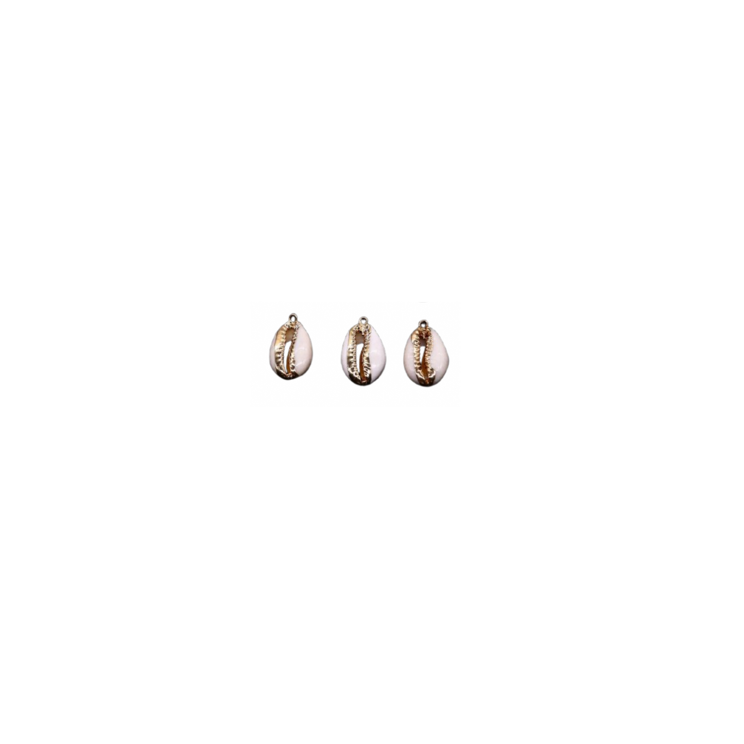 Shell with gold detail