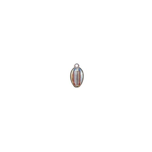Silver shell